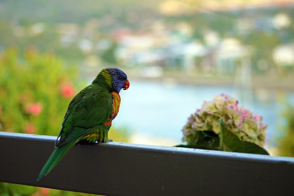 Hydra Holiday Units Merimbula Buitenkant foto